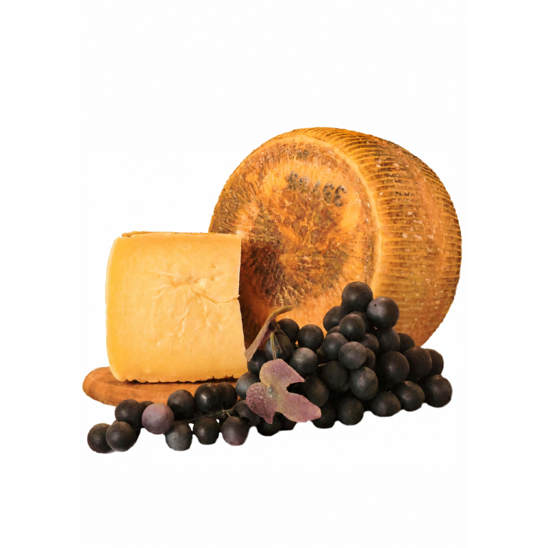 Pecorino di Filiano